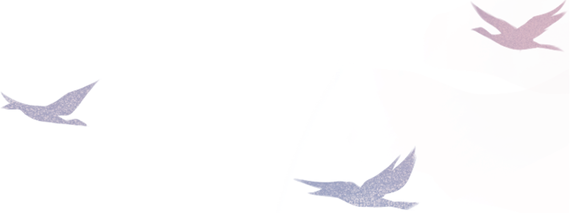 大雁