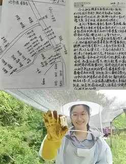 黄文秀事迹